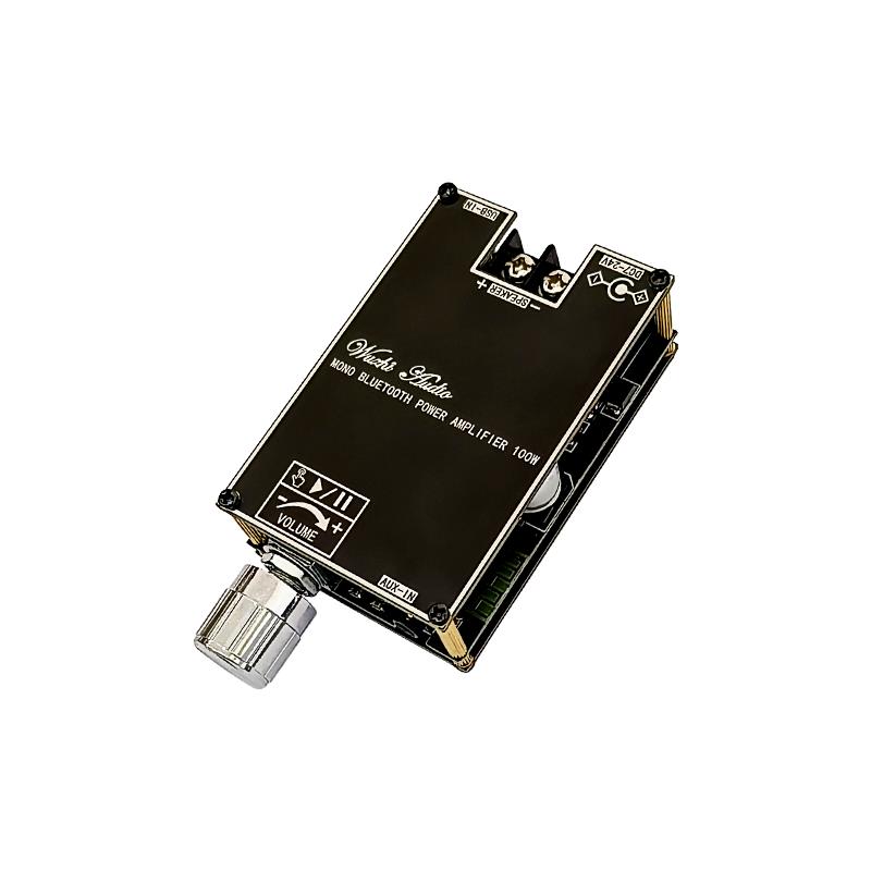 Bluetooth 5.1 TPA3116 D2 Mono  - Home Cinema App 评论和价格