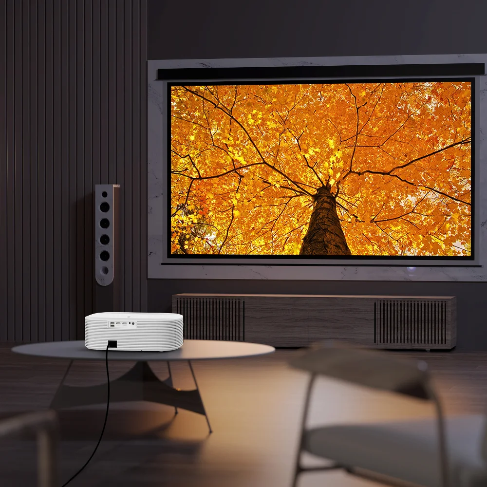 High Quality High Definition M - Home Cinema Projector Screen 评论和价格